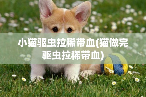 小貓驅蟲拉稀帶血(貓做完驅蟲拉稀帶血)