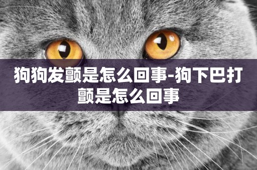狗狗發顫是怎么回事-狗下巴打顫是怎么回事