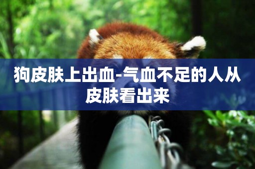 狗皮膚上出血-氣血不足的人從皮膚看出來
