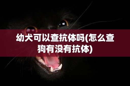 幼犬可以查抗體嗎(怎么查狗有沒有抗體)