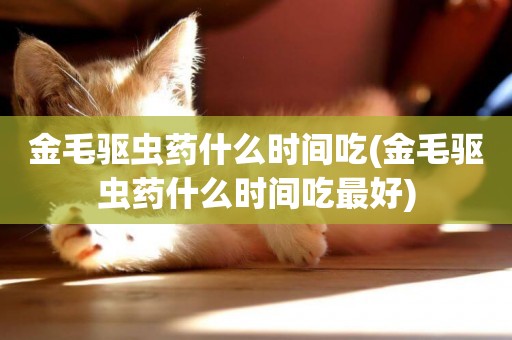 金毛驅蟲藥什么時間吃(金毛驅蟲藥什么時間吃最好)