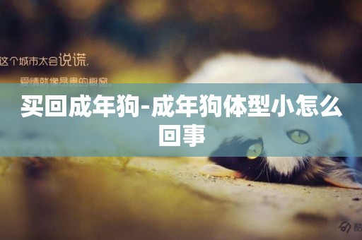 買回成年狗-成年狗體型小怎么回事
