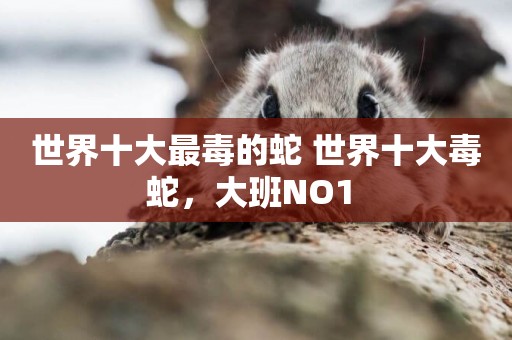 世界十大最毒的蛇 世界十大毒蛇，大班NO1 