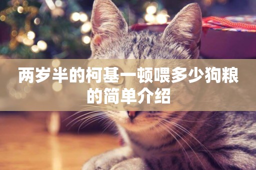 兩歲半的柯基一頓喂多少狗糧的簡單介紹