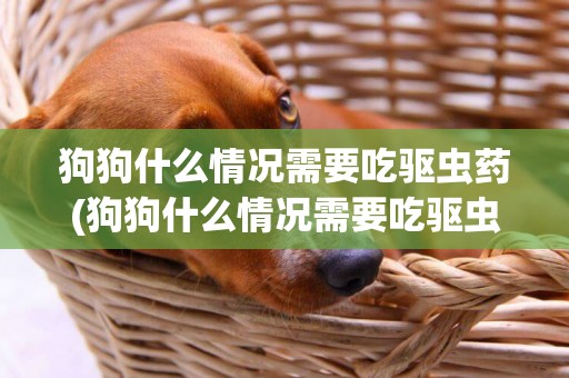 狗狗什么情況需要吃驅蟲藥(狗狗什么情況需要吃驅蟲藥和消炎藥)