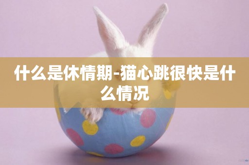 什么是休情期-貓心跳很快是什么情況