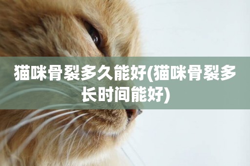 貓咪骨裂多久能好(貓咪骨裂多長時間能好)
