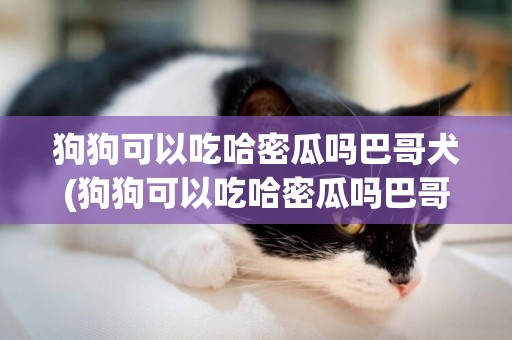 狗狗可以吃哈密瓜嗎巴哥犬(狗狗可以吃哈密瓜嗎巴哥犬能吃嗎)