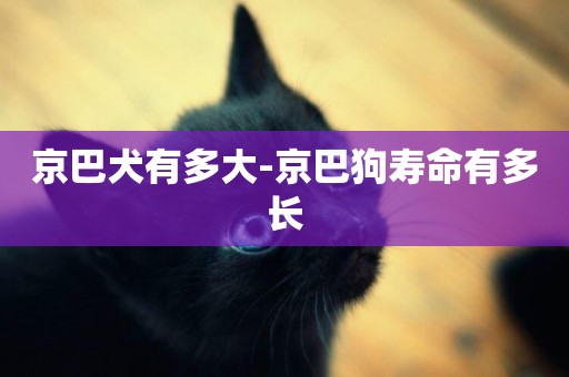 京巴犬有多大-京巴狗壽命有多長