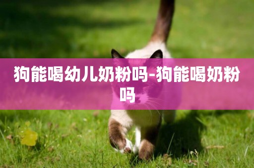 狗能喝幼兒奶粉嗎-狗能喝奶粉嗎