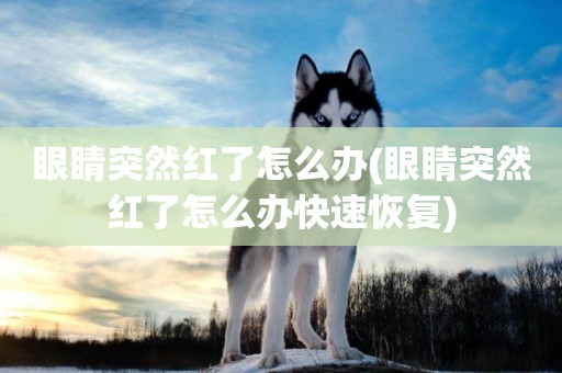 眼睛突然紅了怎么辦(眼睛突然紅了怎么辦快速恢復)
