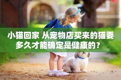 小貓回家 從寵物店買來的貓要多久才能確定是健康的？ 