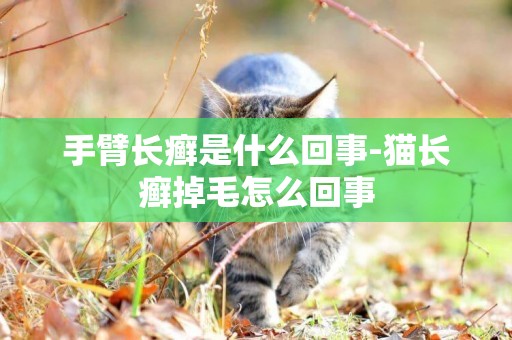 手臂長癬是什么回事-貓長癬掉毛怎么回事