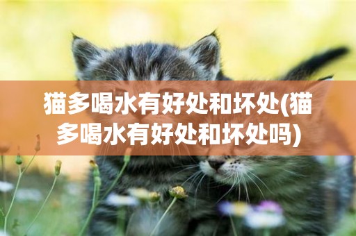 貓多喝水有好處和壞處(貓多喝水有好處和壞處嗎)