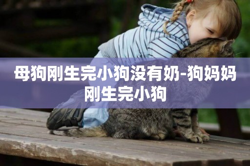 母狗剛生完小狗沒有奶-狗媽媽剛生完小狗