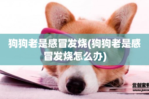 狗狗老是感冒發燒(狗狗老是感冒發燒怎么辦)