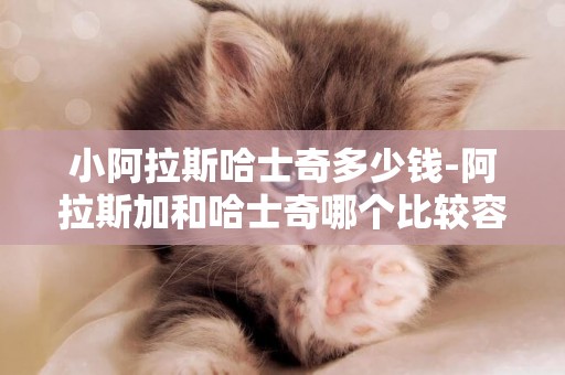 小阿拉斯哈士奇多少錢-阿拉斯加和哈士奇哪個比較容易養