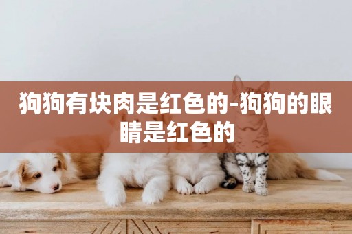 狗狗有塊肉是紅色的-狗狗的眼睛是紅色的