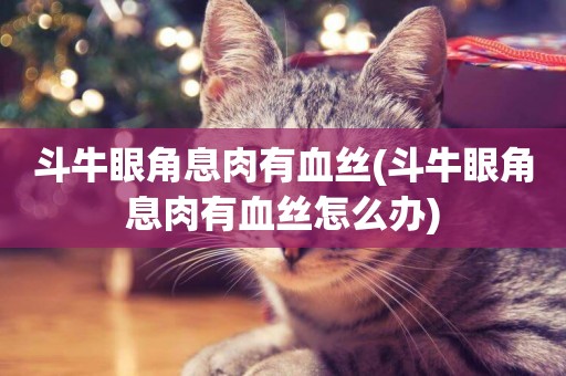 斗牛眼角息肉有血絲(斗牛眼角息肉有血絲怎么辦)