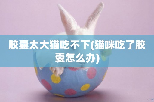 膠囊太大貓吃不下(貓咪吃了膠囊怎么辦)