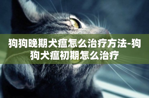 狗狗晚期犬瘟怎么治療方法-狗狗犬瘟初期怎么治療