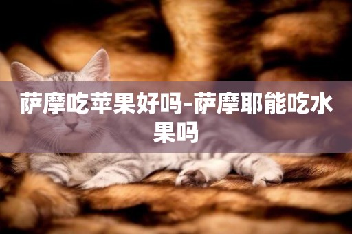 薩摩吃蘋果好嗎-薩摩耶能吃水果嗎