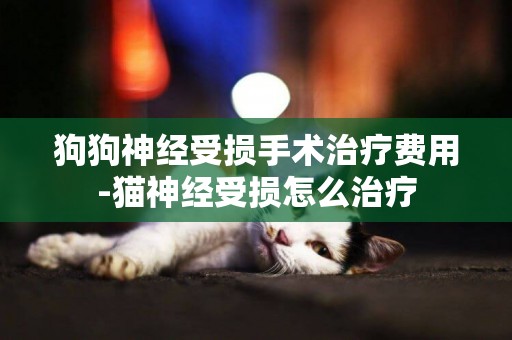 狗狗神經受損手術治療費用-貓神經受損怎么治療