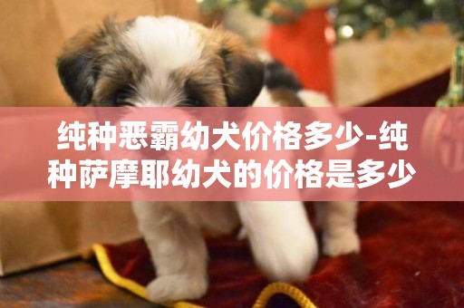 純種惡霸幼犬價格多少-純種薩摩耶幼犬的價格是多少
