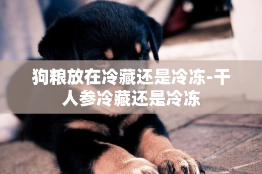 狗糧放在冷藏還是冷凍-干人參冷藏還是冷凍