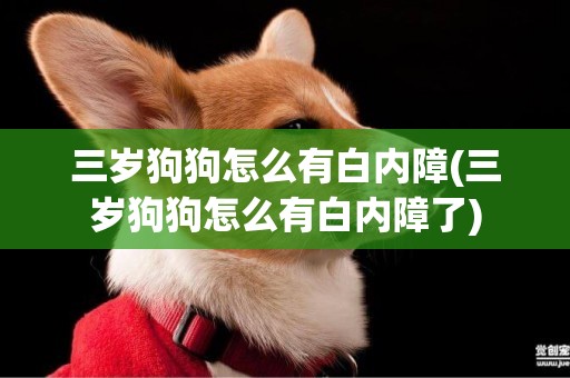 三歲狗狗怎么有白內障(三歲狗狗怎么有白內障了)