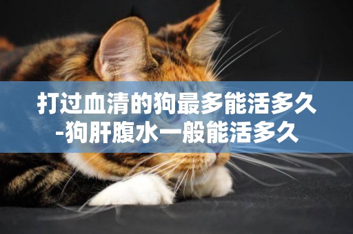 打過血清的狗最多能活多久-狗肝腹水一般能活多久