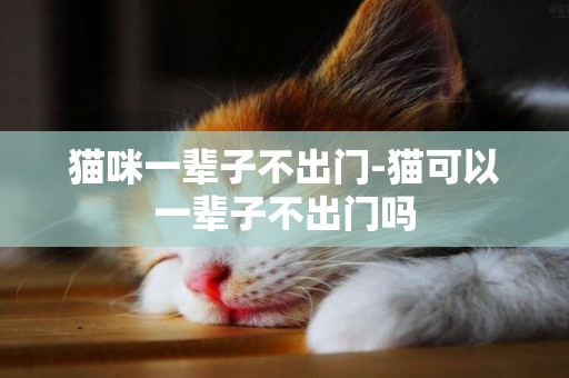 貓咪一輩子不出門-貓可以一輩子不出門嗎