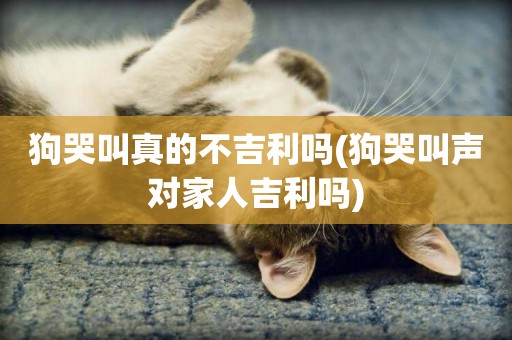 狗哭叫真的不吉利嗎(狗哭叫聲對家人吉利嗎)
