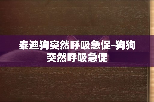 泰迪狗突然呼吸急促-狗狗突然呼吸急促