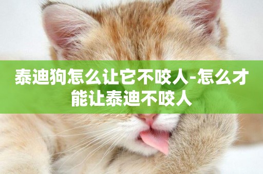 泰迪狗怎么讓它不咬人-怎么才能讓泰迪不咬人