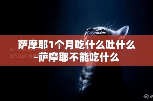 薩摩耶1個月吃什么吐什么-薩摩耶不能吃什么