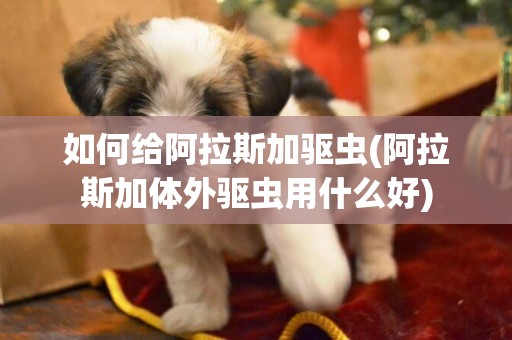 如何給阿拉斯加驅蟲(阿拉斯加體外驅蟲用什么好)