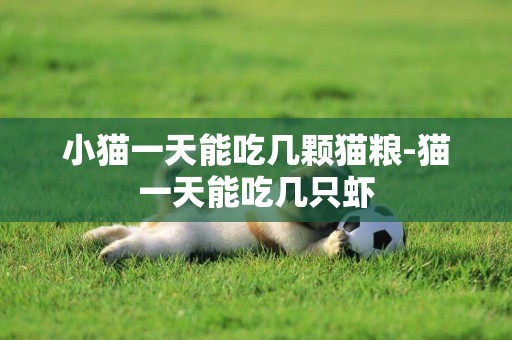 小貓一天能吃幾顆貓糧-貓一天能吃幾只蝦