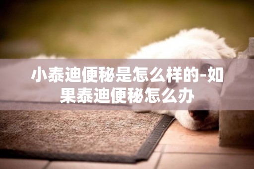 小泰迪便秘是怎么樣的-如果泰迪便秘怎么辦