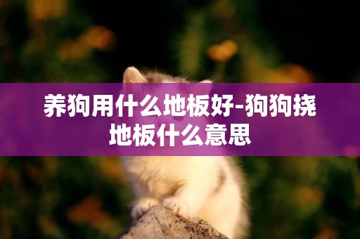 養狗用什么地板好-狗狗撓地板什么意思