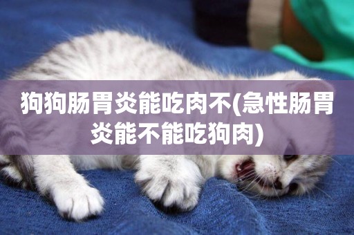 狗狗腸胃炎能吃肉不(急性腸胃炎能不能吃狗肉)