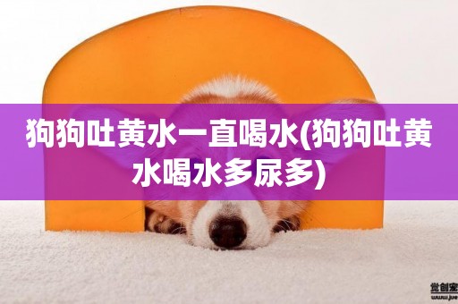 狗狗吐黃水一直喝水(狗狗吐黃水喝水多尿多)