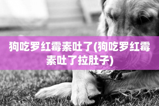 狗吃羅紅霉素吐了(狗吃羅紅霉素吐了拉肚子)