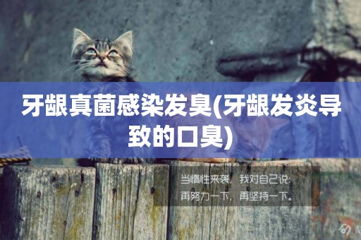 牙齦真菌感染發臭(牙齦發炎導致的口臭)