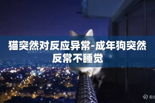 貓突然對反應異常-成年狗突然反常不睡覺
