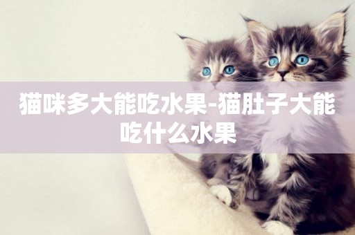 貓咪多大能吃水果-貓肚子大能吃什么水果