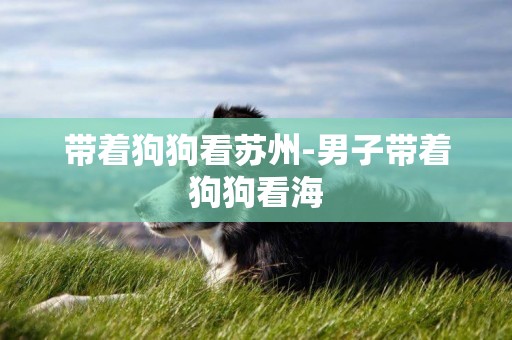 帶著狗狗看蘇州-男子帶著狗狗看海