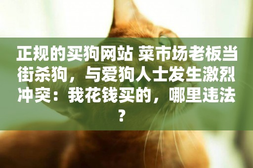 正規的買狗網站 菜市場老板當街殺狗，與愛狗人士發生激烈沖突：我花錢買的，哪里違法？ 