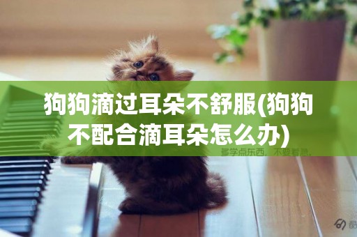 狗狗滴過耳朵不舒服(狗狗不配合滴耳朵怎么辦)