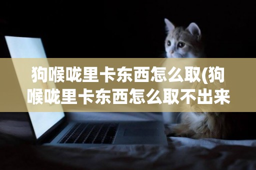 狗喉嚨里卡東西怎么取(狗喉嚨里卡東西怎么取不出來)